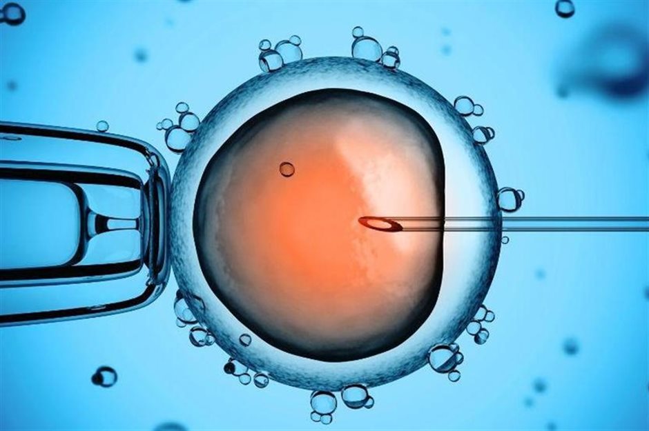 What is Embryo Transfer? | Seng