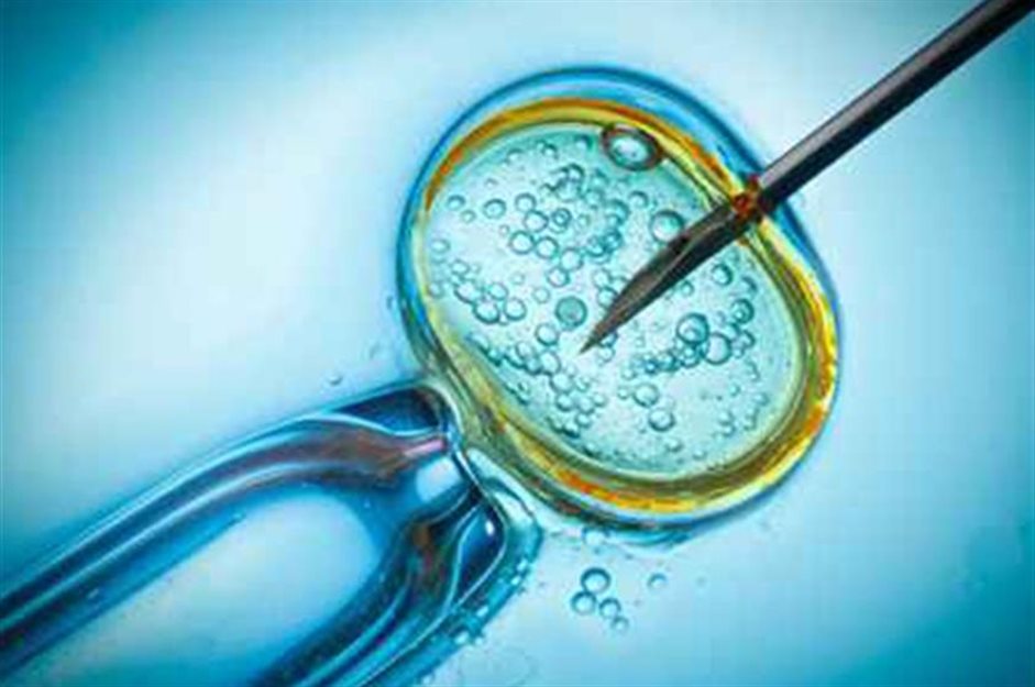 Female Infertility: Egg Quality and IVF Treatment in Singapore | Seng