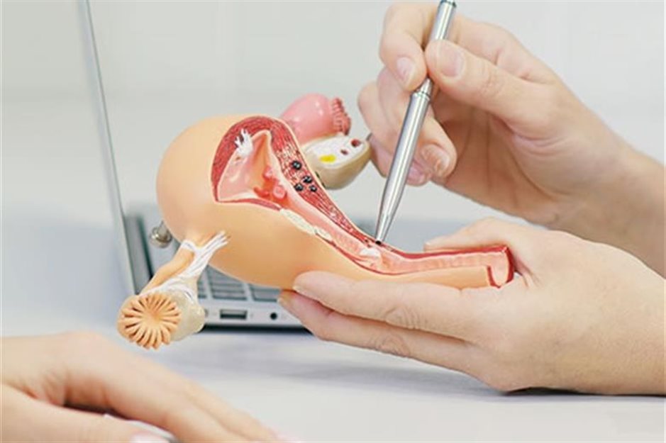 Common Female Reproductive Problems You Should Take Note Of | Seng