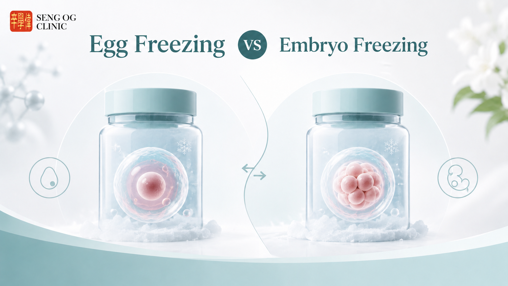 Egg Freezing vs Embryo Freezing Comparison