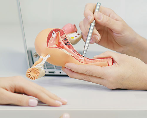 Endometrial biopsy