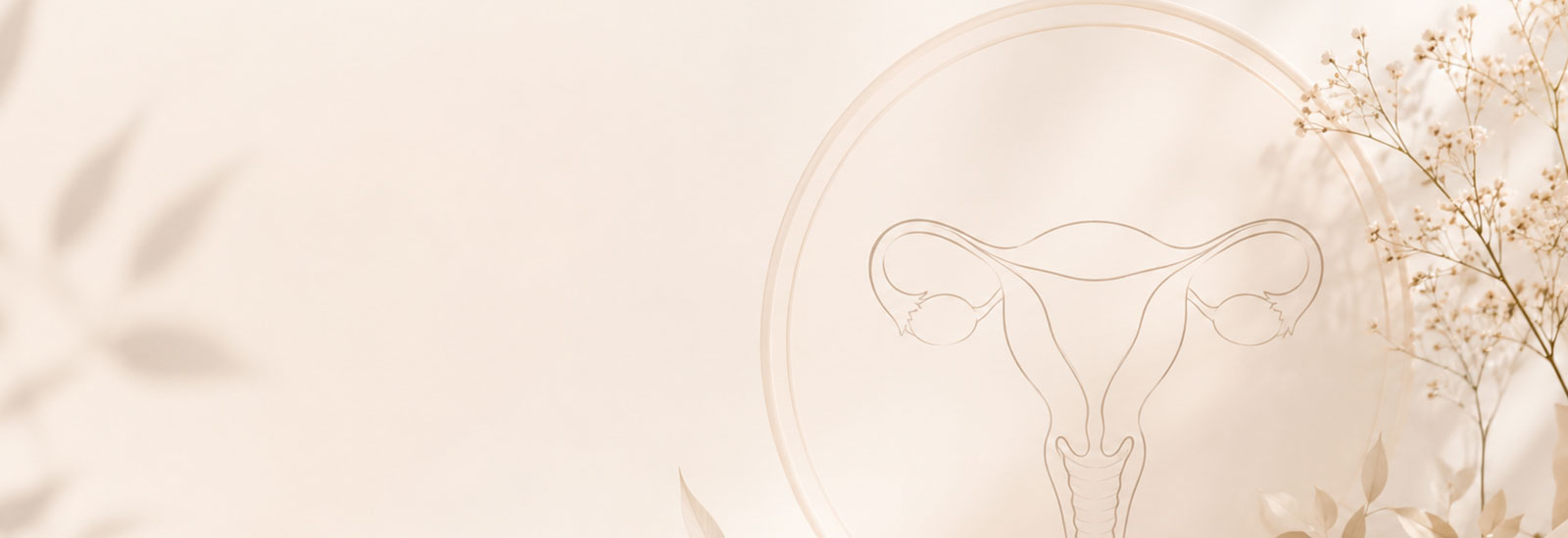 Seng's OG Practice Contact Us Banner