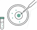 IVF and assisted reproductive technology