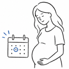 Pregnancy timeline illustration