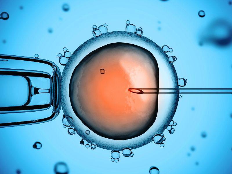 IUI vs IVF Treatments in Singapore: Which Treatment is Right for You?