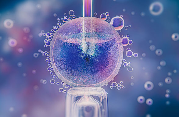 Egg freezing guidance and fertility assessment