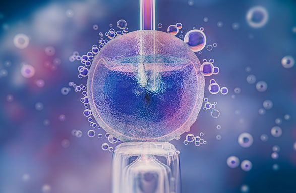 Egg freezing consultation and fertility preservation illustration