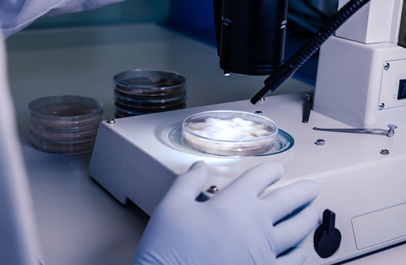 Preparing for egg freezing consultation and fertility assessment