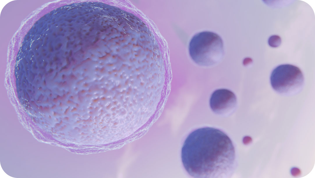 Egg retrieval procedure for fertility preservation