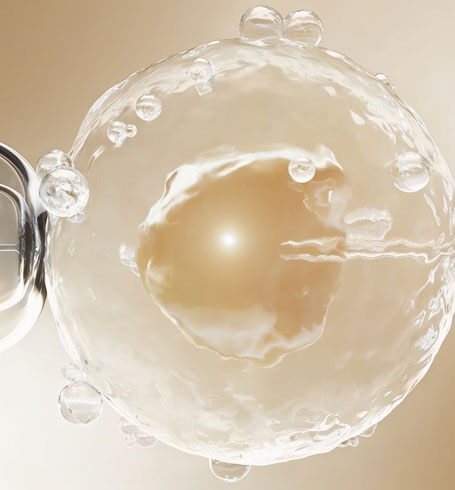 IVF consultation and embryo fertilisation process