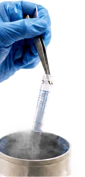 Cryopreserved embryo sample being removed from liquid nitrogen storage
